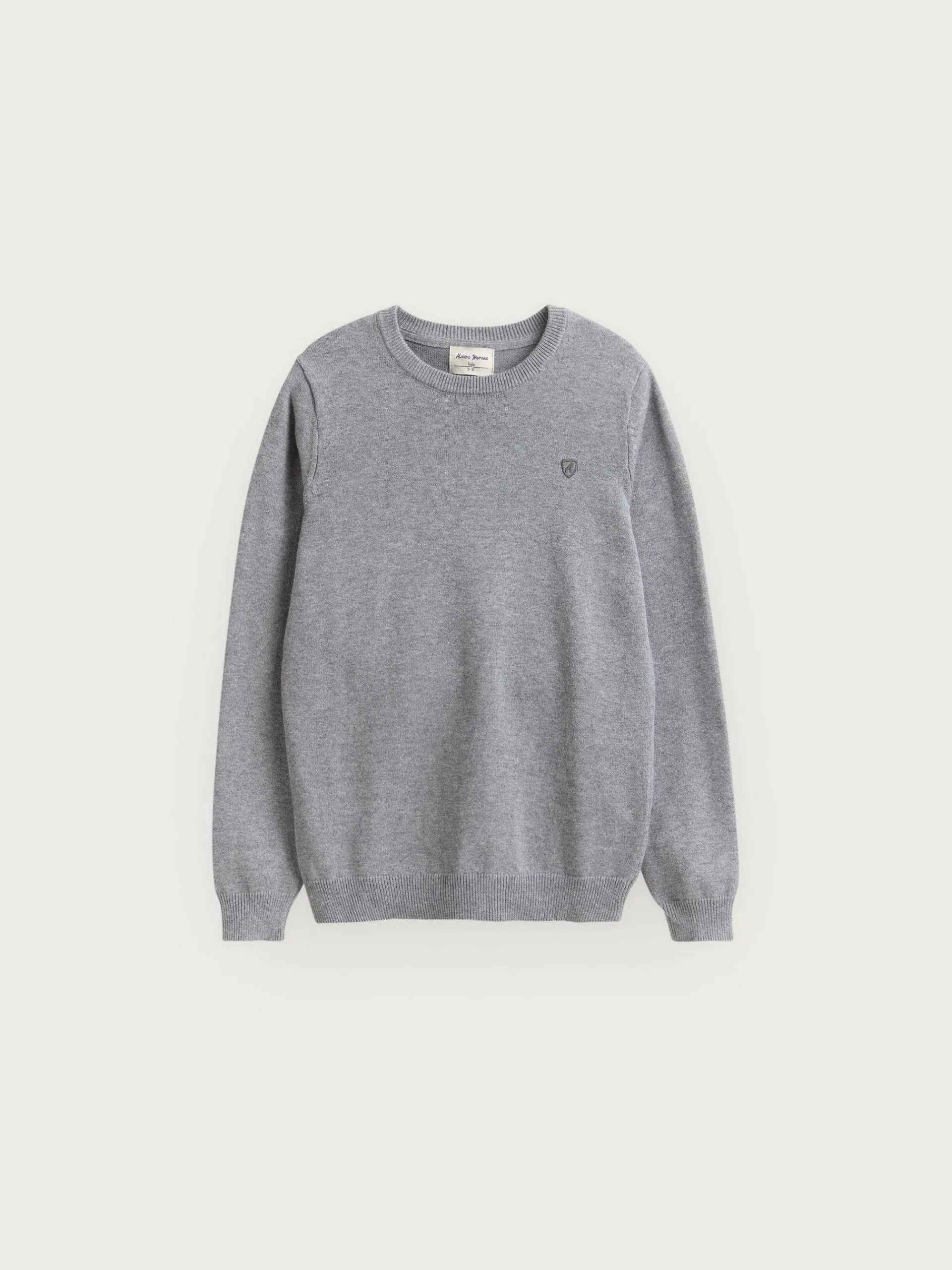 Jerséis-Alvaro Moreno JERSEY ROUND NECK KIDS Gris
